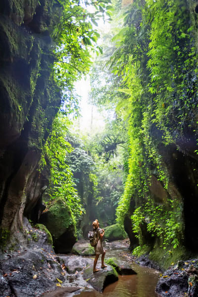 Jungle Trek Bali Image