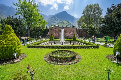Activity & SightSeeing Image