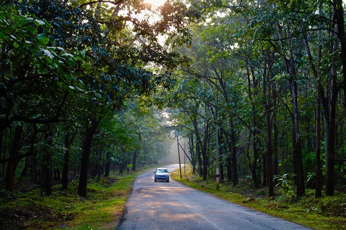 5 Days Dandeli Tour package