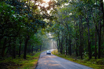 5 Days Dandeli Tour package