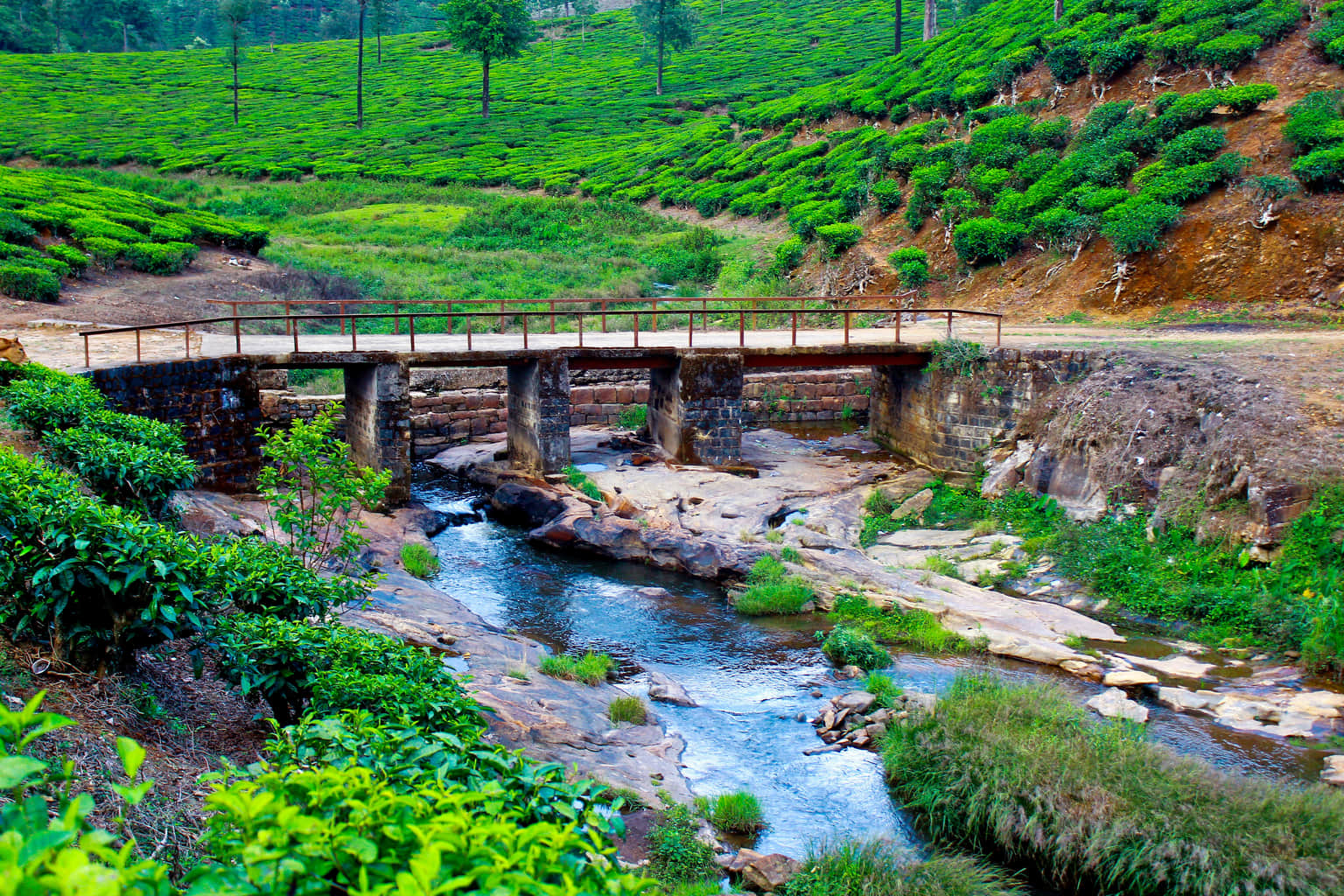 Vellamalai Tunnel River
