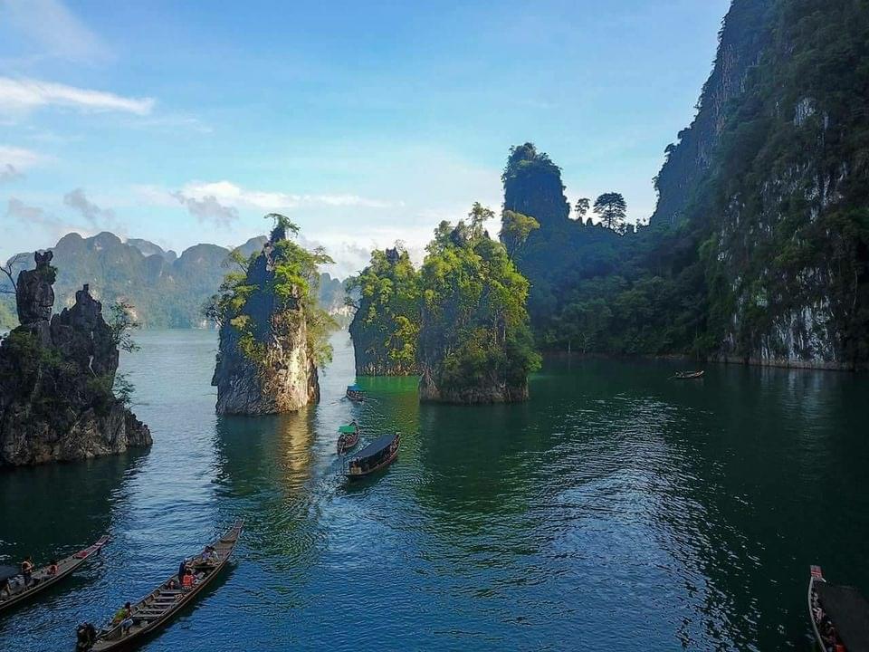 Limestone Lake Rainforest