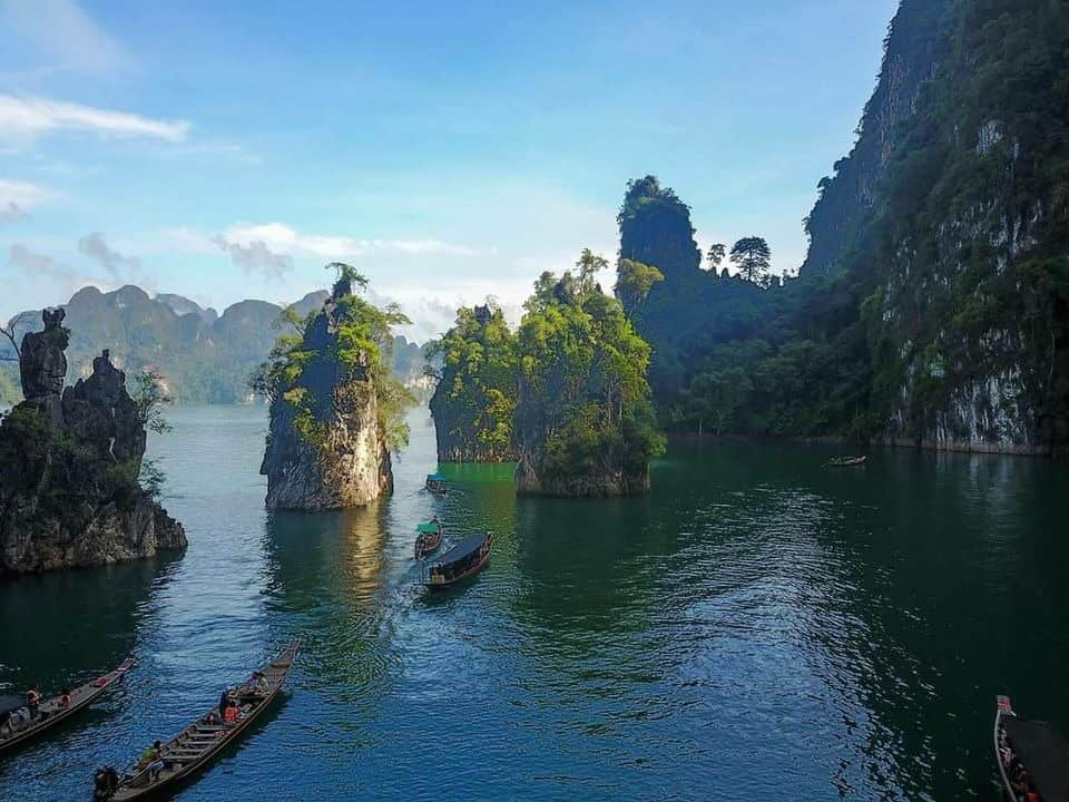 Limestone Lake Rainforest