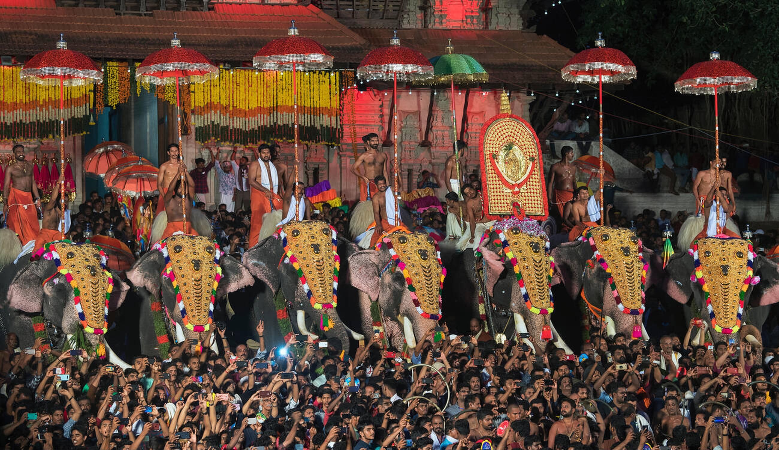 Attend the Annual Pooram Festival