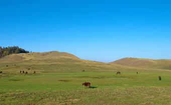 N2of0di83ulw6hqhg2re94is2tkp 14288145549 92acc736cc b