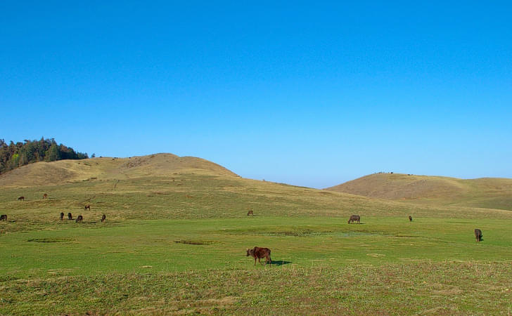 Khaptad National Park