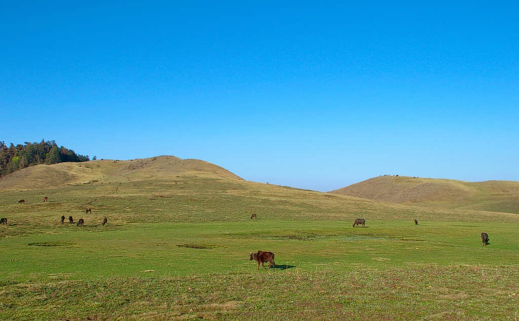 Khaptad National Park
