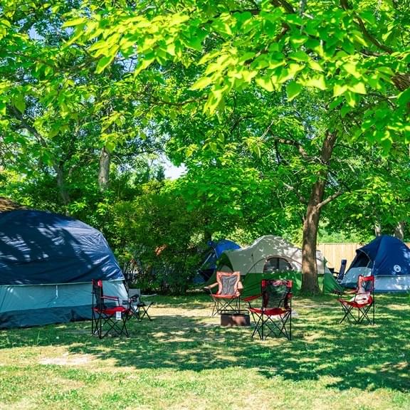 Experience Camping Near the Falls