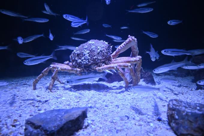 Aquarium De Paris