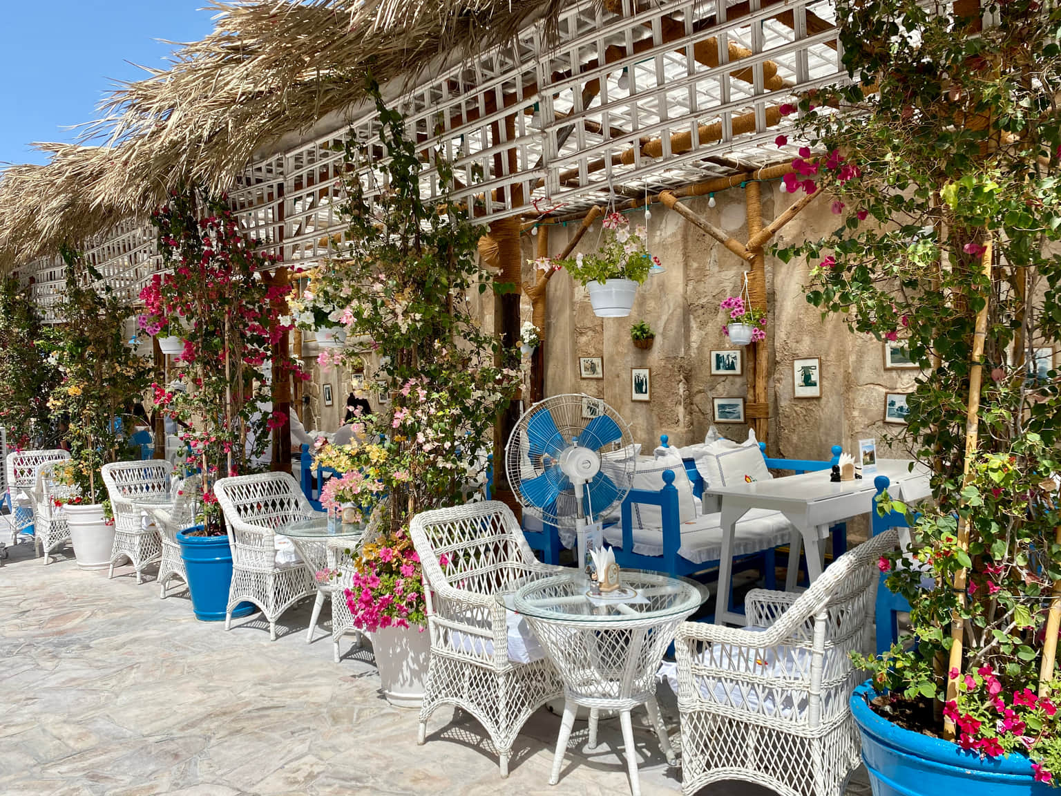 A drink in the Arabian Tea House