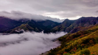 Kurinjini Top Station Trek From Chennai