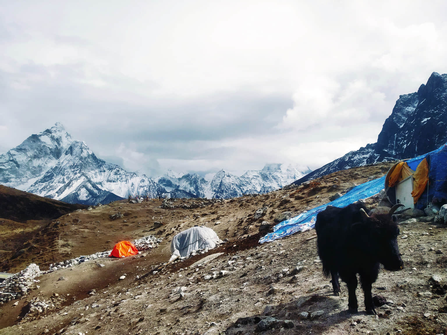 Photo from Suhasini 's trip