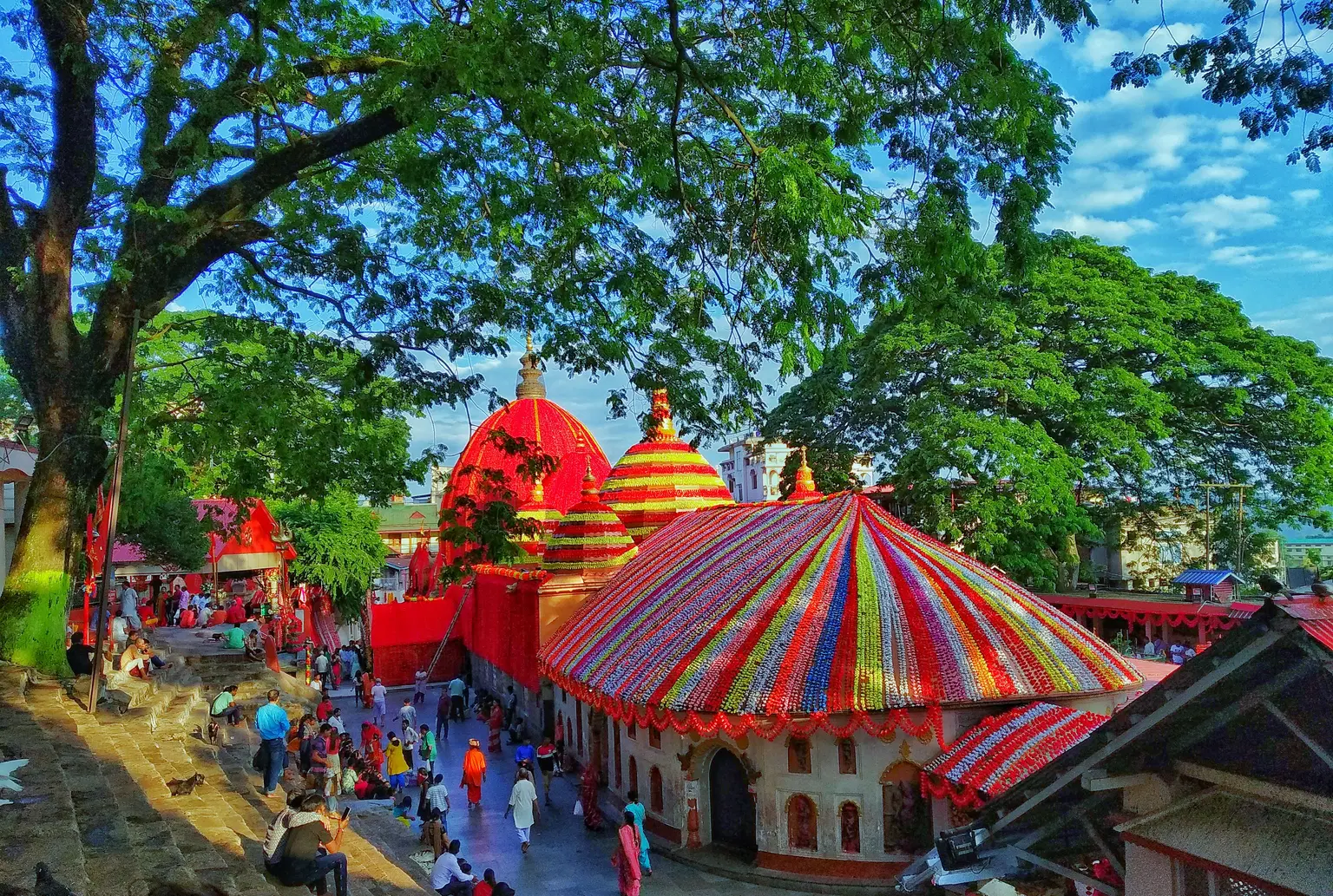 <em>Guwahati</em> Tour Packages From Vadodara