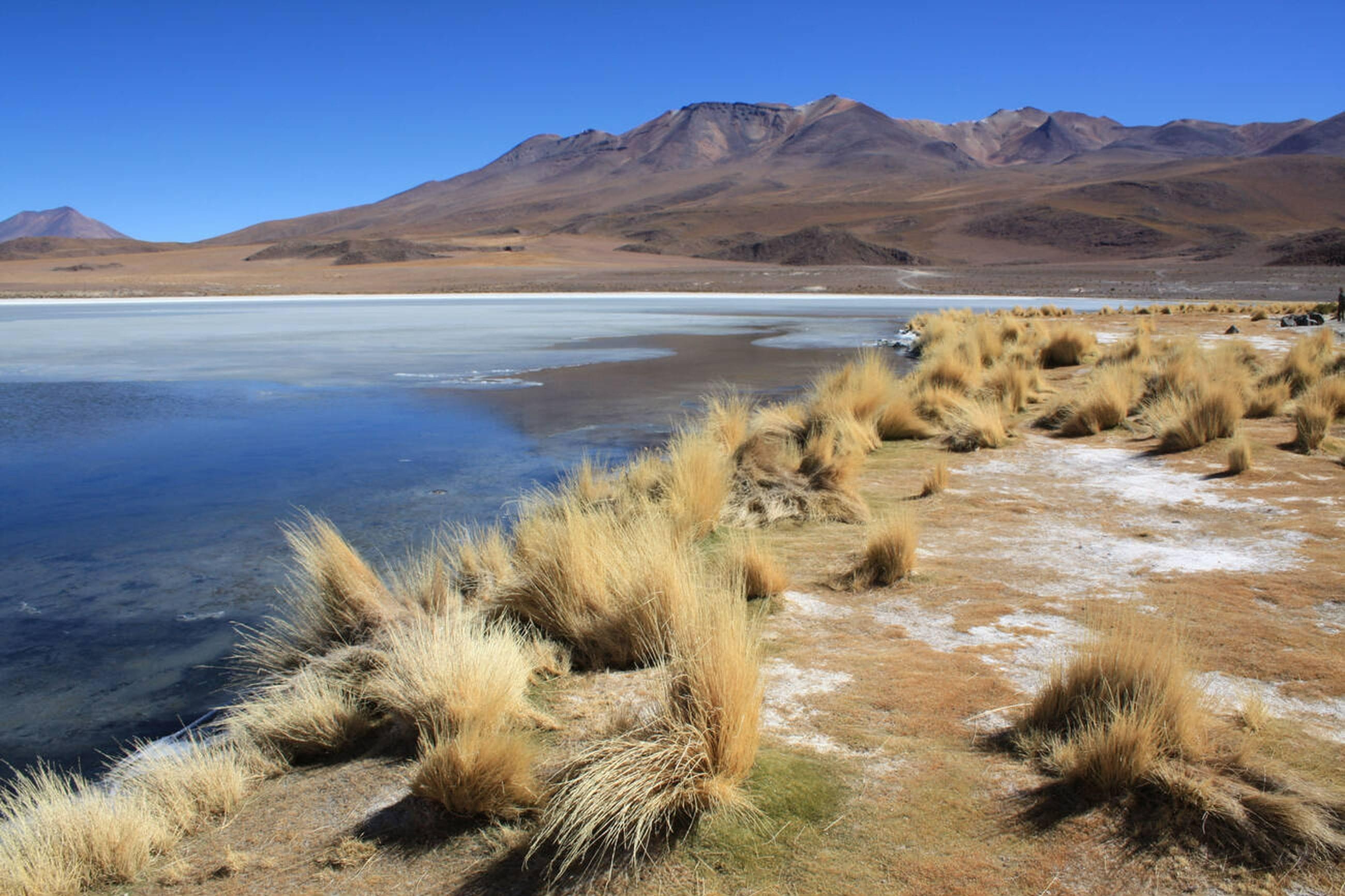 Laguna Hedionda, Bolivia Overview