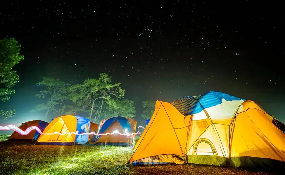 Nature Camp in Sakleshpur