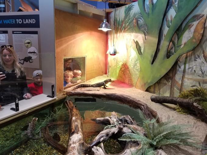 The North Shore Exhibit