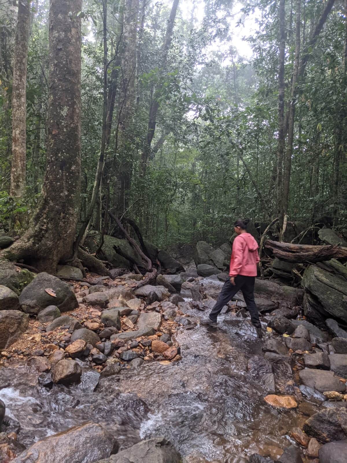 Photo from K Deeksha's trip