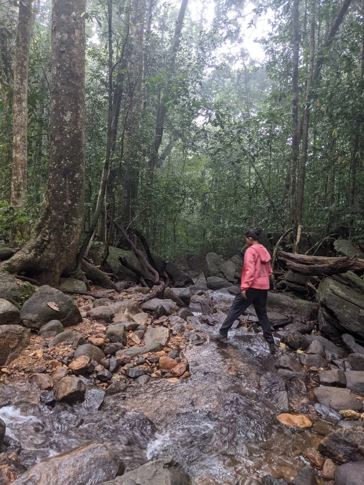 Photo from K Deeksha's trip