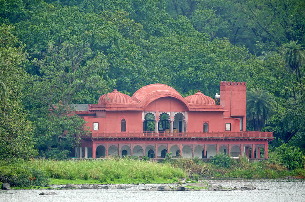 Jogi Mahal, <em>Ranthambore</em>