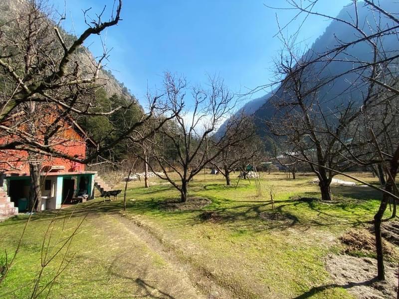 A Hilltop Hideaway Tucked In The Valley Of Kasol Image