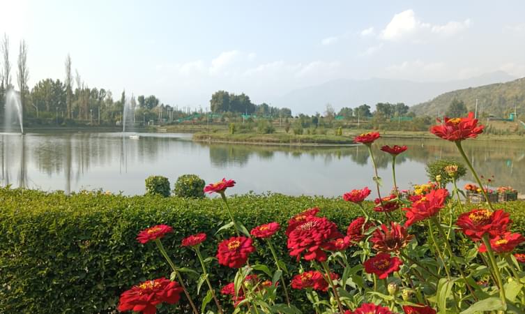Botanical Garden, Srinagar