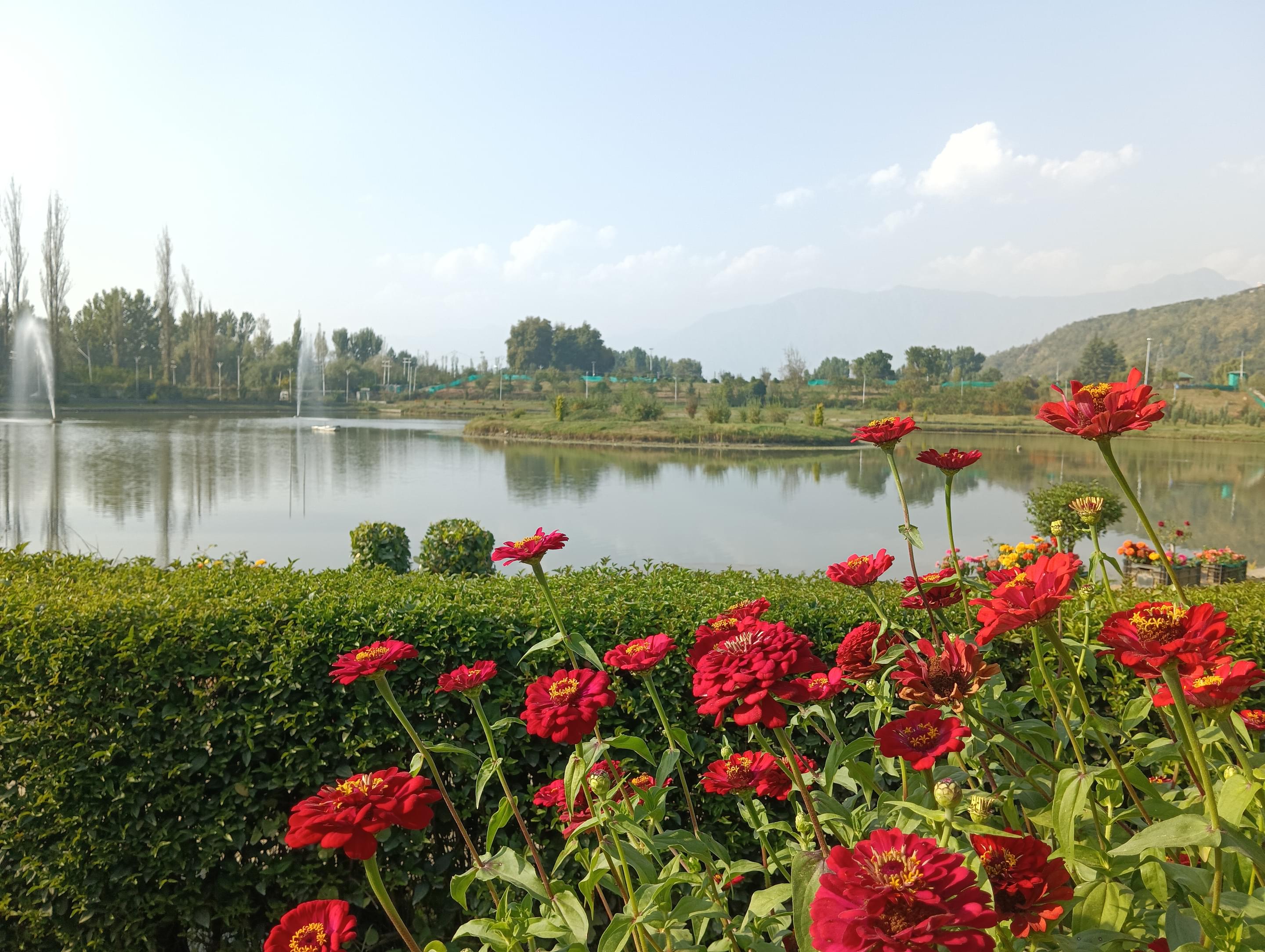 Botanical Garden, Srinagar Overview