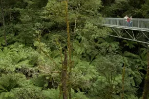 N76jhb509adymi5452msiknemi1i eps 10060