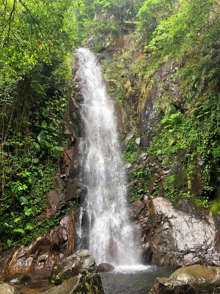 Adventure Hike To Tai Mo Shan Waterfall Image