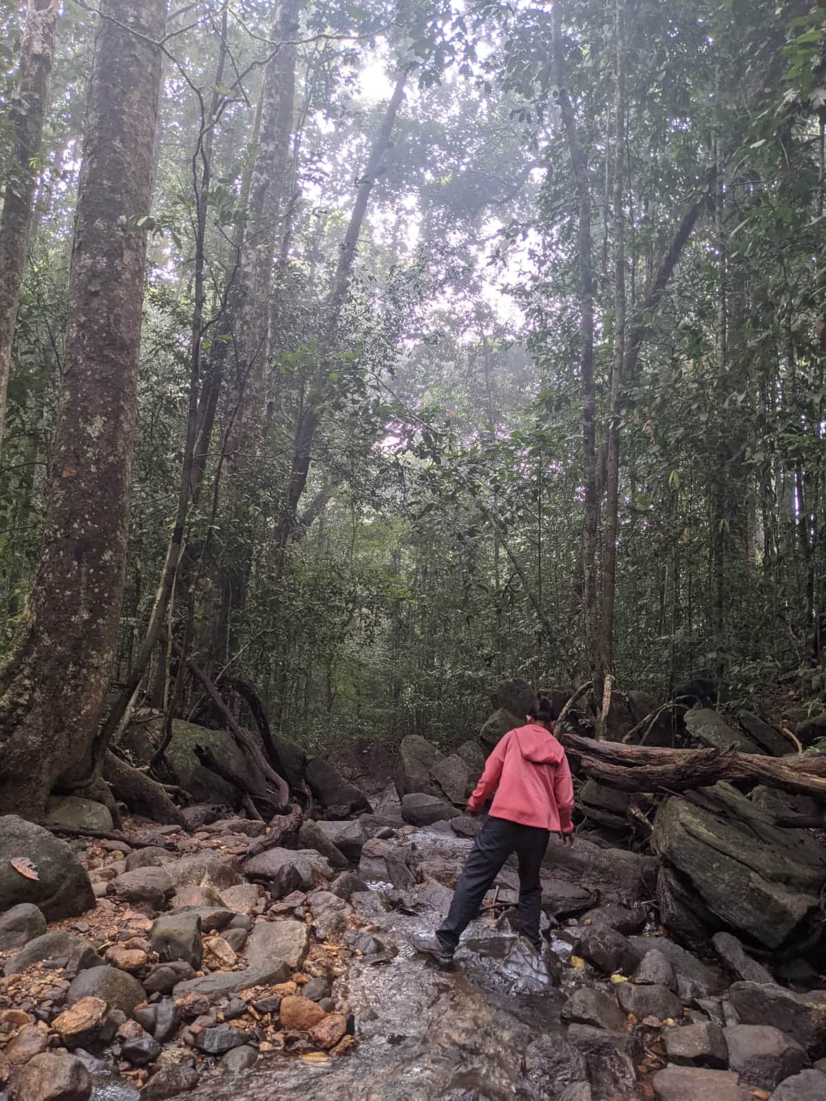 Photo from K Deeksha's trip