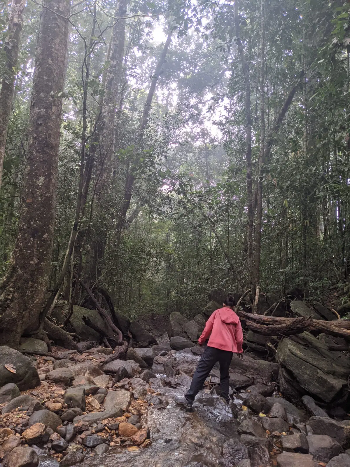 Photo from K Deeksha's trip