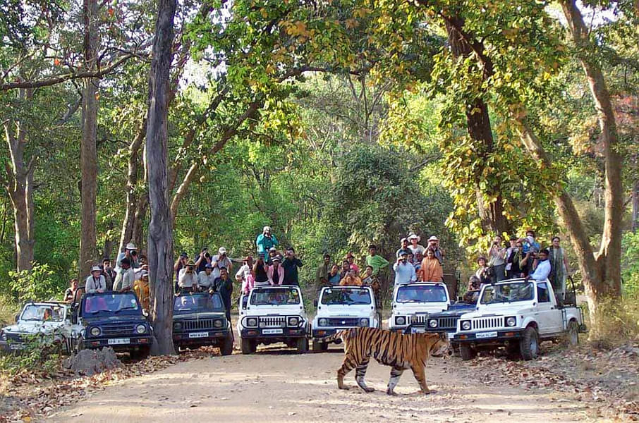 Chinnar Wildlife Sanctuary Jeep Safari Image