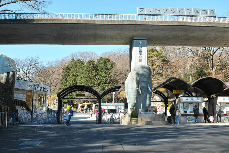 Tama Zoological Park Image