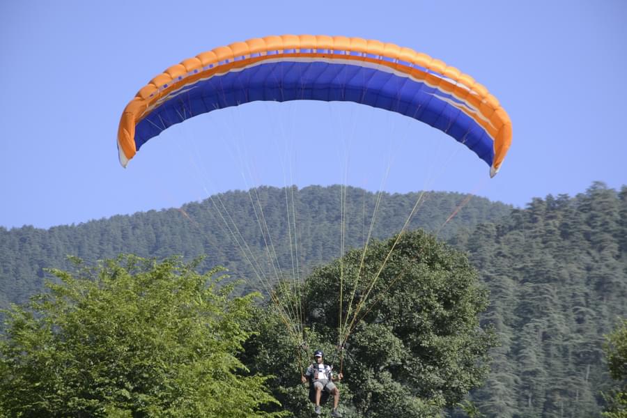 Paragliding In Shimla Image
