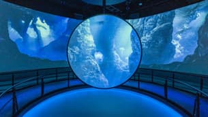 N947yw27ps2f1qw5k4g27z99m8ng 145%20(35)