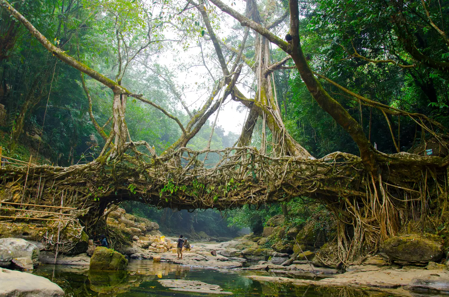 Exotic Meghalaya with FREE Visit to Seven Sisters Fall