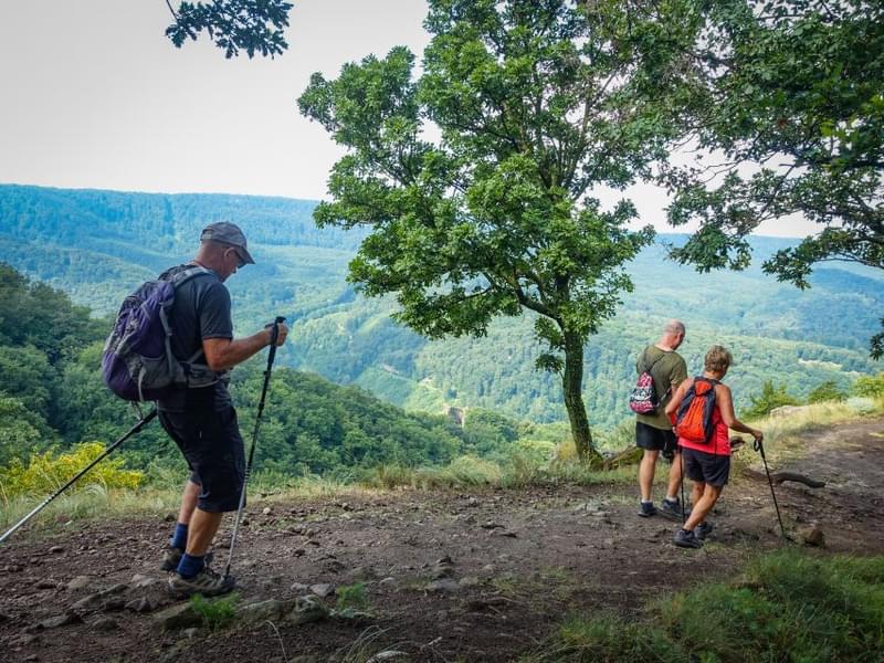 Danube Bend Full-Day Hiking Tour from Budapest  Image