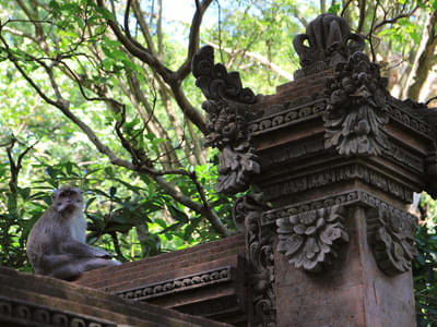 Ubud Tour with Temple, Monkey Forest, Waterfalls, Elephant Cave (Solo)