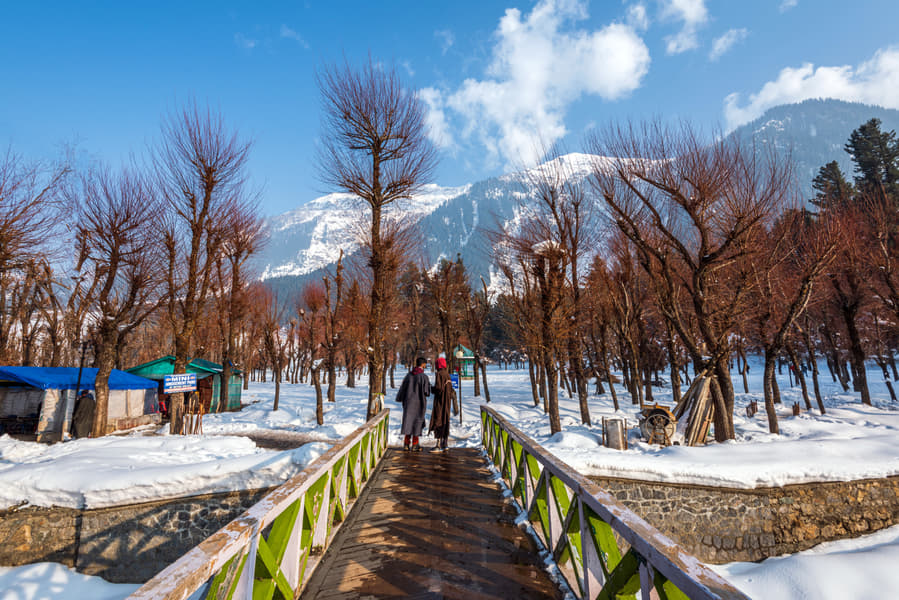 Valley of Dreams | Kashmir Honeymoon Special Image