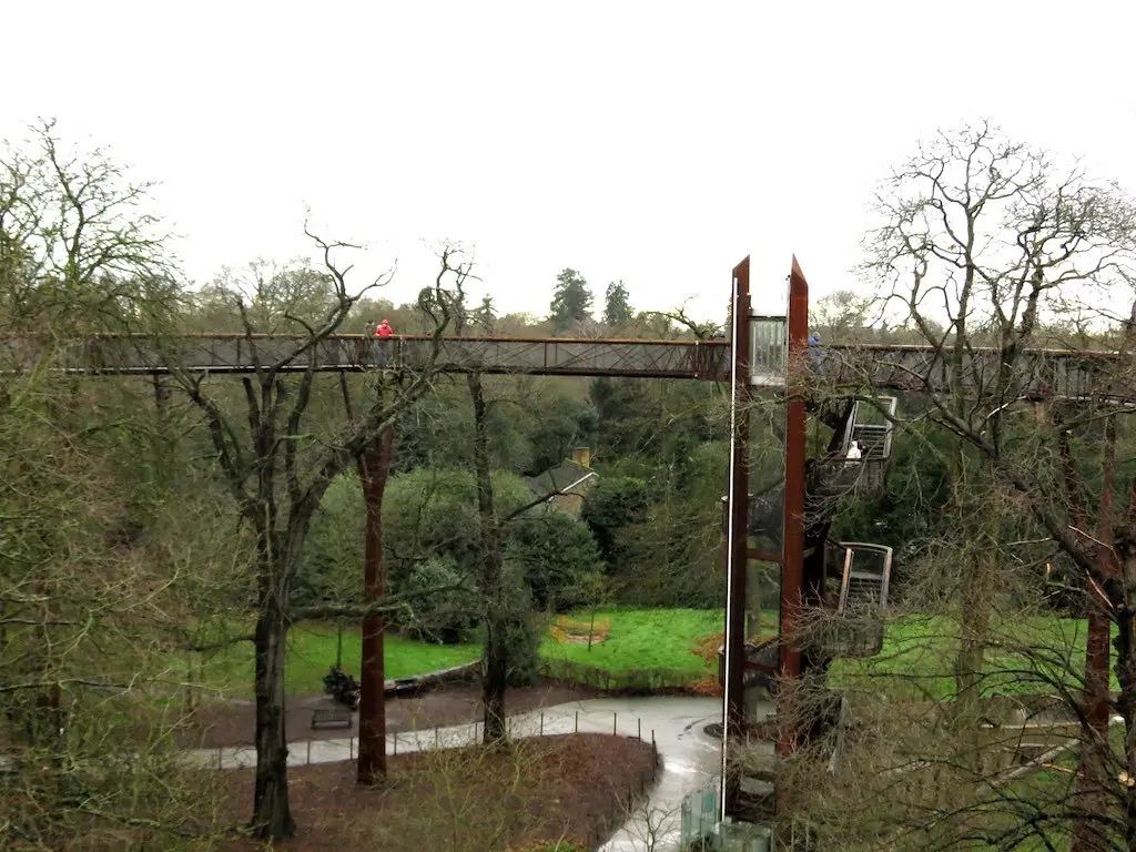 Treetop Walkway
