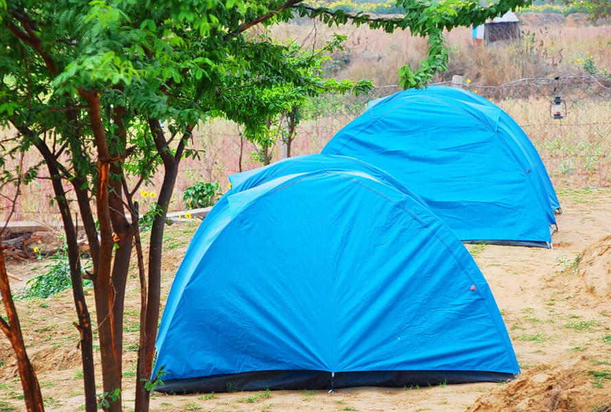 Camping Near Delhi For A Weekend Getaway Image