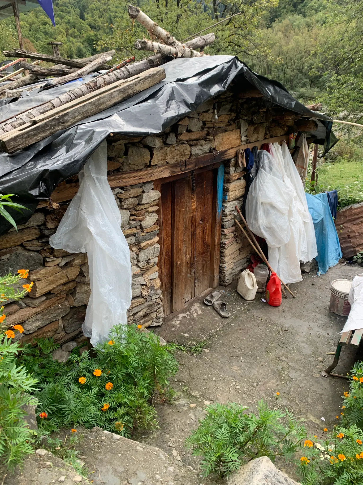 Photo from Yoshita Yoshita's trip