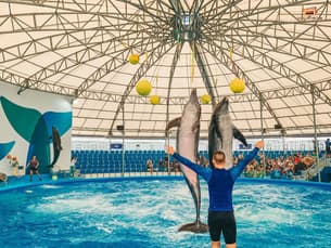 Nb0hugrm8d7ujf0zsuavz3on4p4c 6b1odb7y40f83xuk9wwh804up58f ticket2attracion%20(3)