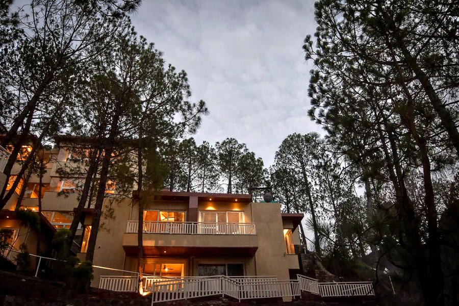 Jungle Lodge Resort Image