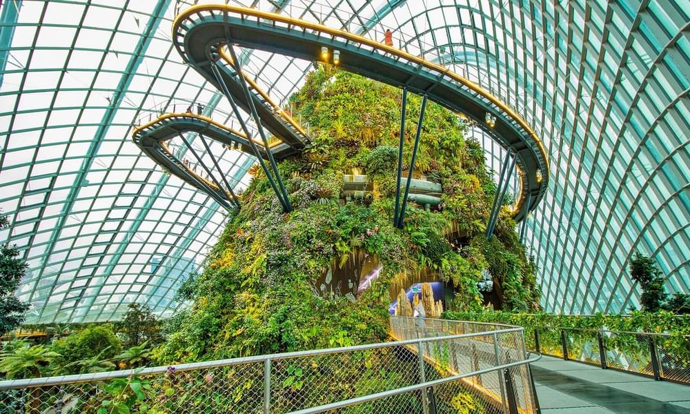 Buy Gardens by the Bay tickets and explore the fascinating cloud forest