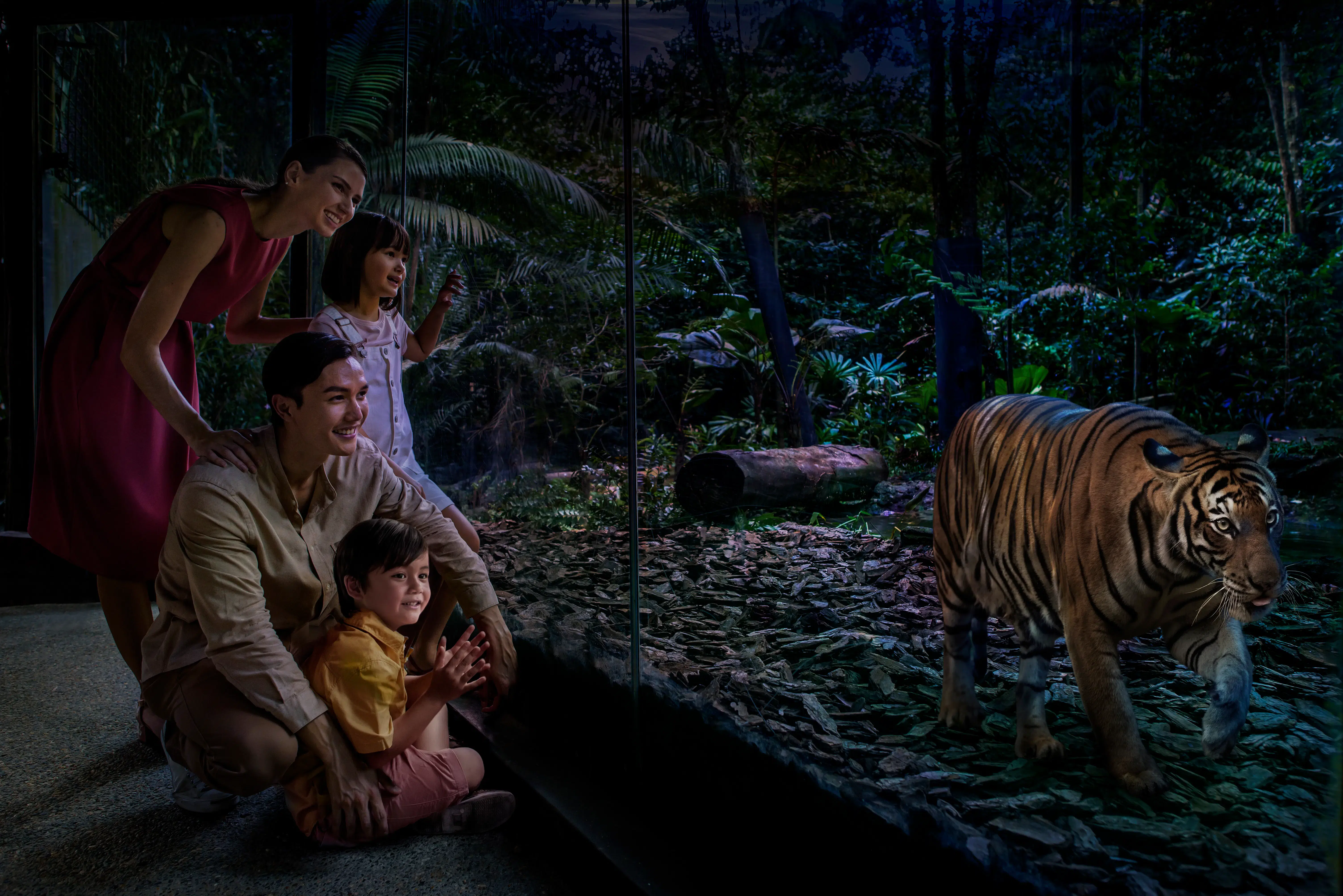 Visitors at the Night Safari Park