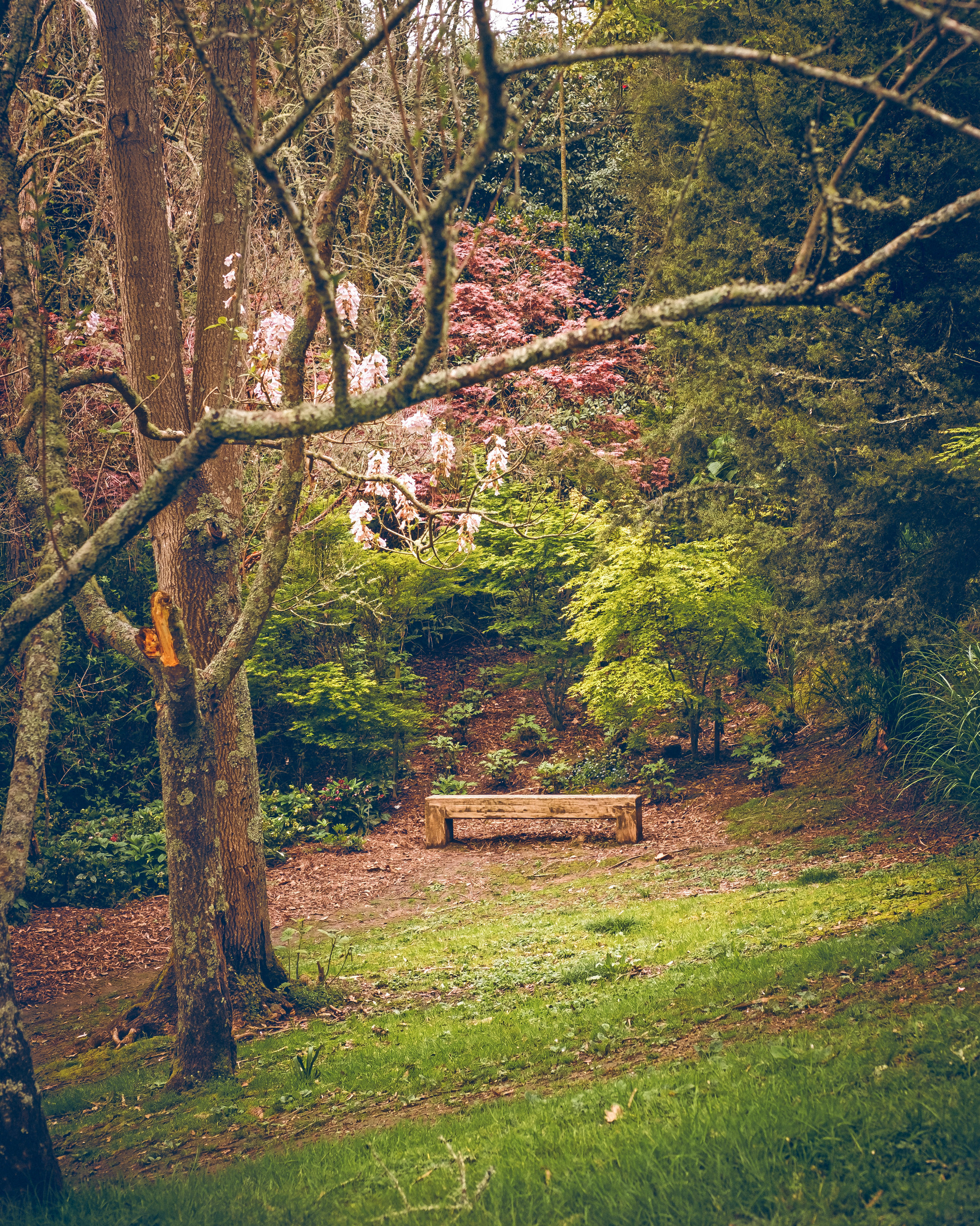 Taitua Arboretum