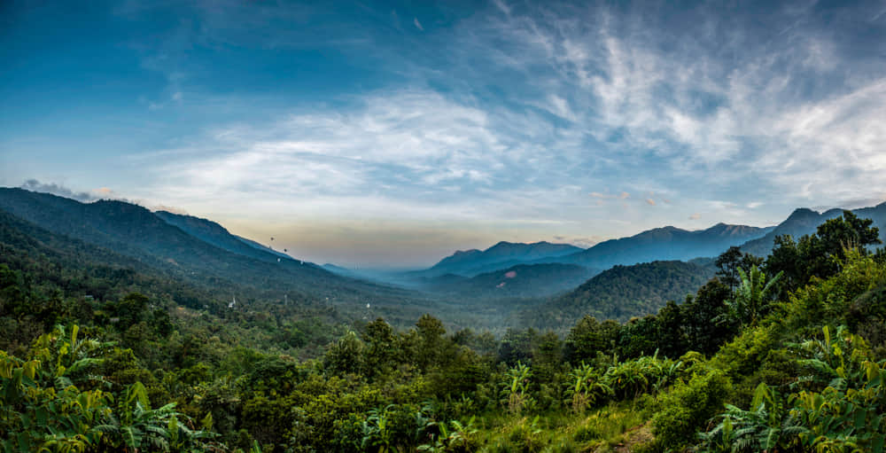 Best time to visit Wayanad