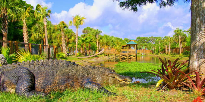 Wild Florida Park Tickets