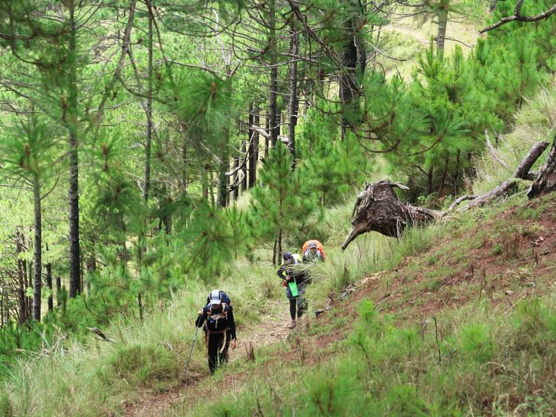 Yamunotri trek