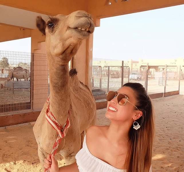 Take a picture with friendly camels at Camel Souk